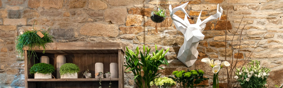 Intérieur de la boutique du Fleuriste du Coin Intérieur de la boutique du Fleuriste du Coin